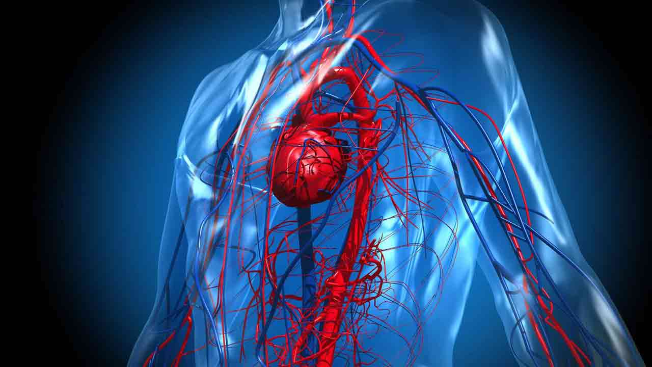 Health Tips: నెల రోజుల పాటు రోజుకు 5 నానబెట్టిన బాదం పప్పులు తింటే.. జరిగేది ఇదే.. 