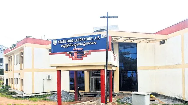 చెదలుపడుతున్న ఫుడ్‌ లేబొరేటరీ!