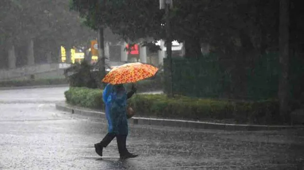 Rain Alerts In Telangana: తెలంగాణలో భారీ వర్షాలు.. పలు జిల్లాలకు అలర్ట్..
