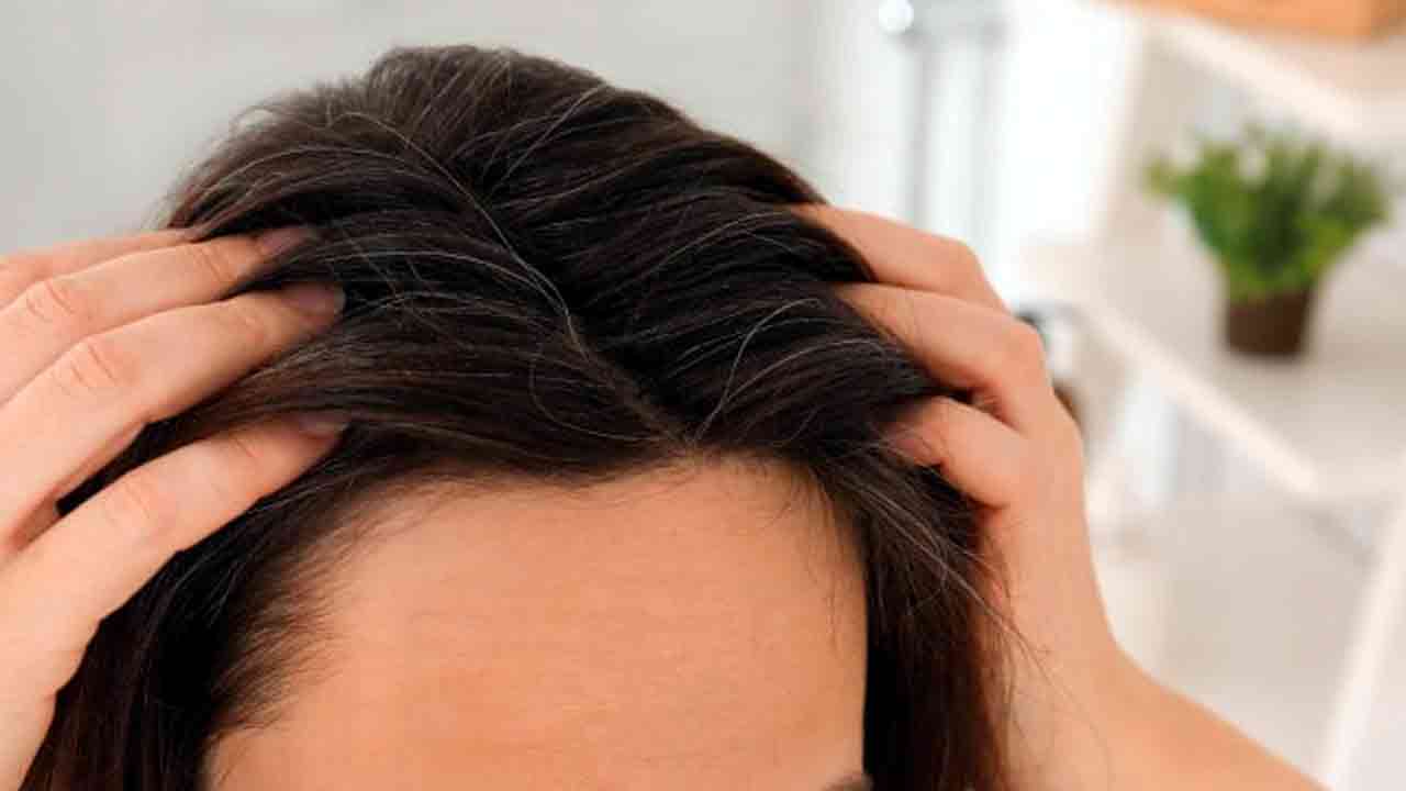 Hair Health Tips: మీ నూనెలో ఇది కలిపి జుట్టుకు రాస్తే.. ఎన్ని ప్రయోజనాలు ఉంటాయో తెలుసా..