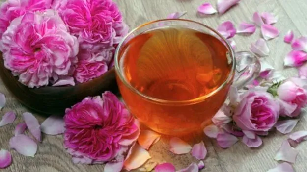 Rose Tea Health Benefits: సాధారణ టీ కాదు.. ఉదయాన్నే ఈ టీ తాగితే సూపర్ బెనిఫిట్స్.. 