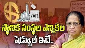AP State Election Commissioner: నాలుగు దశల్లో స్థానిక సంస్థల ఎన్నికలు