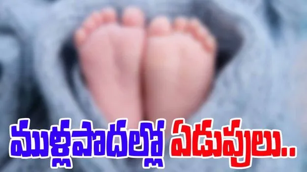 Newborn Baby Abandoned: అనంతపురంలో దారుణం.. ముళ్లపొదల్లో నవజాత శిశువు ఏడుపులు.. 