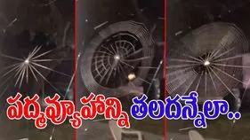 Spider Viral Video: సాలీడు టాలెంట్ ముందు ఇంజినీర్లు కూడా దిగుదుడుపే.. ఏం చేసిందో చూడండి.. 