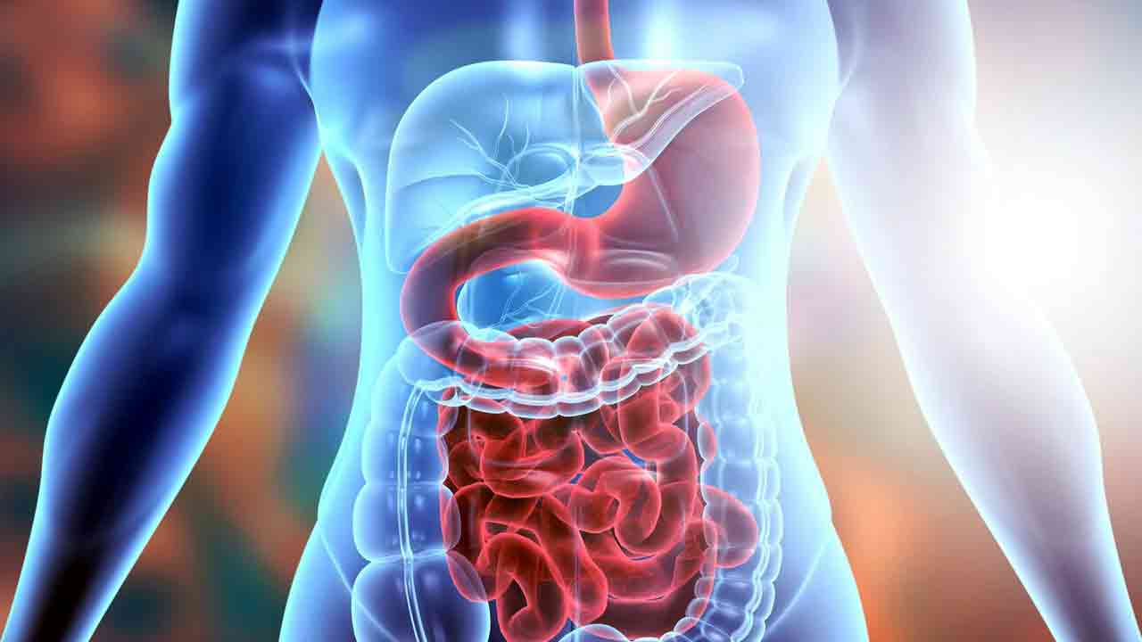 Health Tips: నెల రోజుల పాటు రోజుకు 5 నానబెట్టిన బాదం పప్పులు తింటే.. జరిగేది ఇదే.. 