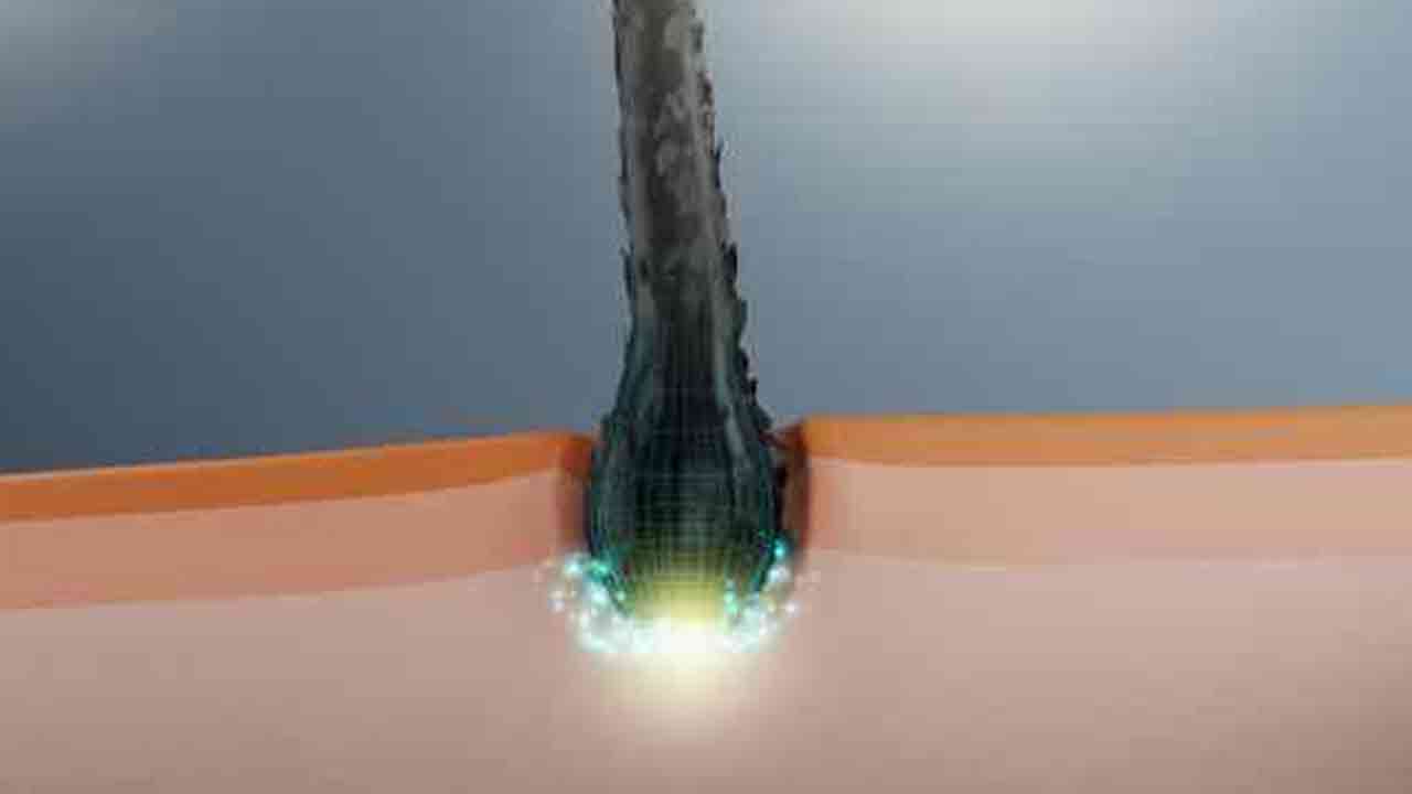 Hair Health Tips: మీ నూనెలో ఇది కలిపి జుట్టుకు రాస్తే.. ఎన్ని ప్రయోజనాలు ఉంటాయో తెలుసా..