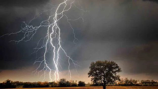 Three People killed in Jogulamba Gadwal: పొలంలో పిడుగు పడి.. ముగ్గురు మృతి