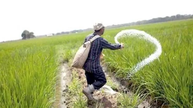 CS Vijayanand: యూరియా కోసం ఆందోళన వద్దు