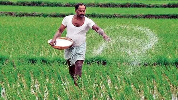 Fertilizer Availability: ఎరువుల లభ్యతపై భరోసా ఇవ్వండి