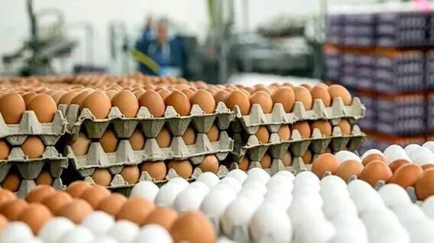 Visakhapatnam: గుడ్డుకు భలే డిమాండ్‌ 