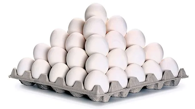 Animal Husbandry Department: గుడ్ల ఉత్పత్తిలో ఏపీ ఫస్ట్‌