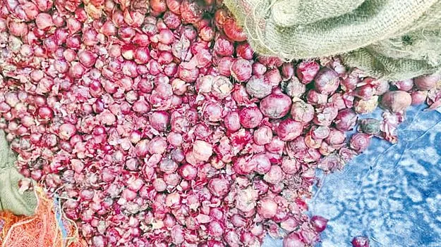 Rythu Bazaar: ఇవేం ఉల్లిపాయలు బాబోయ్‌ 