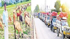 Onion Farmers: మార్కెట్‌కు వెళ్లే దారీ లేదు