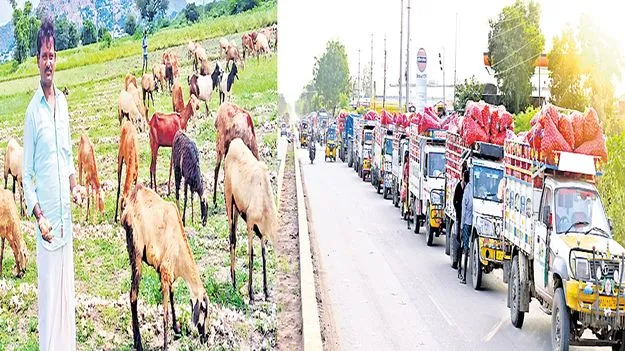 Onion Farmers: మార్కెట్‌కు వెళ్లే దారీ లేదు