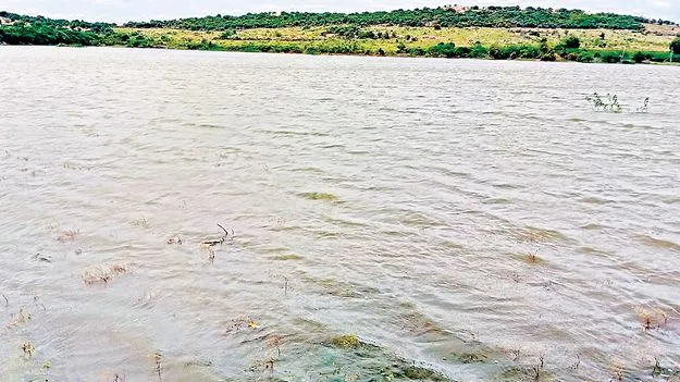 Kurnool District: చిన్న ప్రాజెక్టు..పెద్ద ఆనందం