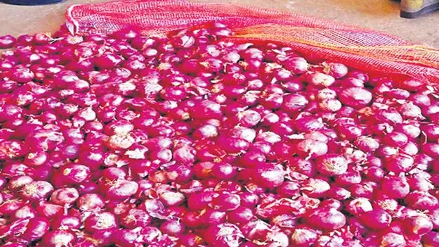 AP Govt: క్వింటా ఉల్లి రూ.1,200లకు కొనుగోలు