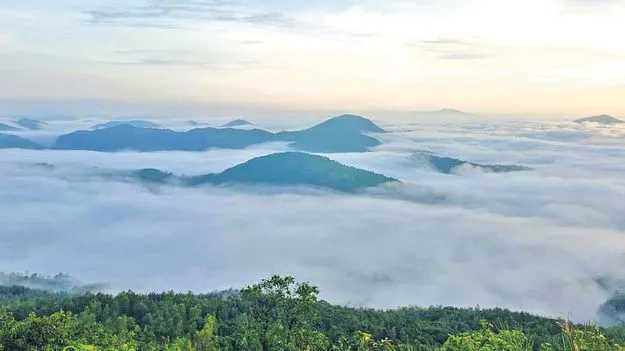 Vanjangi Hills: వంజంగిపై మంచు దుప్పటి