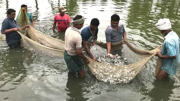 Aqua Farmers: ఆక్వా రైతుకు ధరల స్థిరీకరణ అవసరం