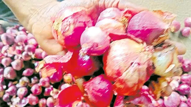 Onion Farmers: ఉల్లి రైతు బేజారు