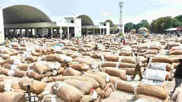 Ginning Mills: నిబంధనల సడలింపునకు సీసీఐ అంగీకారం