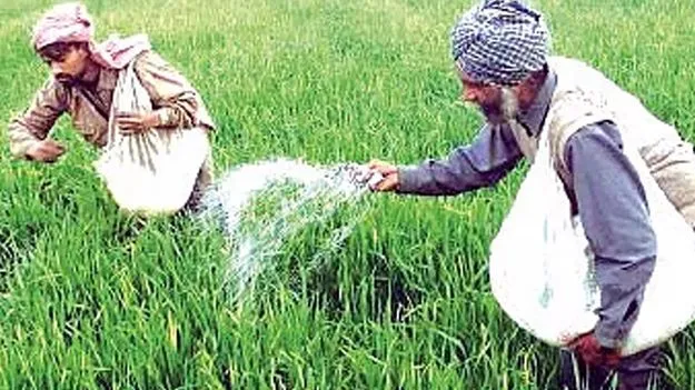 Agri Director Dilli Rao: ఖరీఫ్‌ అవసరాలకు సరిపడా యూరియా