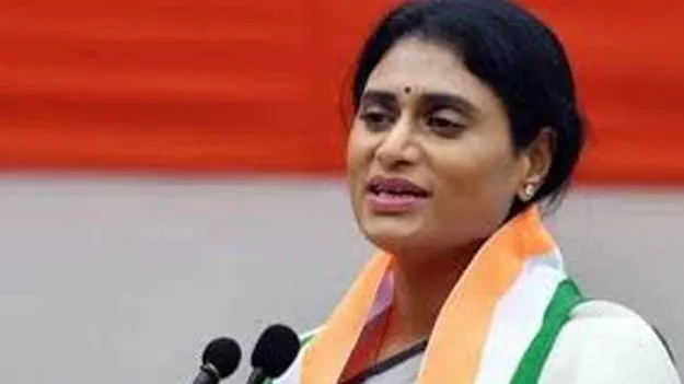 YS Sharmila: ఆదివాసీలకు అక్షర జ్ఞానం అందించలేని  కూటమి ప్రభుత్వం సిగ్గుపడాలి