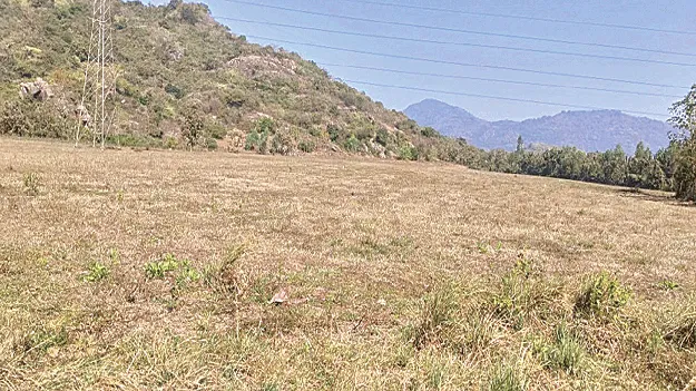 జిల్లాలో థర్మల్‌ ప్రాజెక్టు