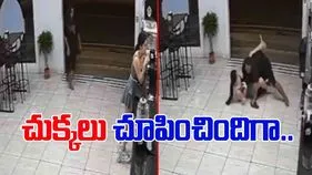 Woman Catching Thief: బ్రూస్‌లీని మించిపోయిందిగా.. చోరీ చేయబోతున్న దొంగను ఏం చేసిందో చూడండి.. 