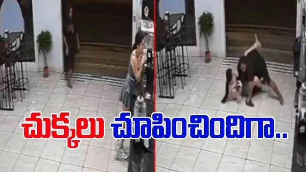 Woman Catching Thief: బ్రూస్‌లీని మించిపోయిందిగా.. చోరీ చేయబోతున్న దొంగను ఏం చేసిందో చూడండి.. 