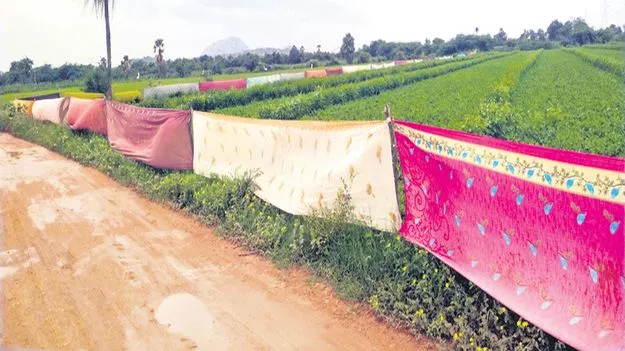 చీరలతో పంటలకు రక్ష 