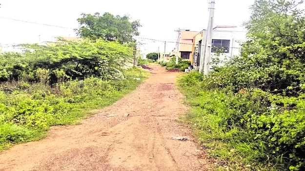  జగనన్న కాలనీలో సౌకర్యాల లేమి