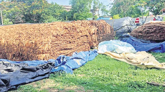 బర్లీకి బైబై