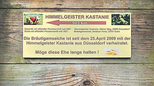 చెట్టుకూ చిరునామా ఉంది...