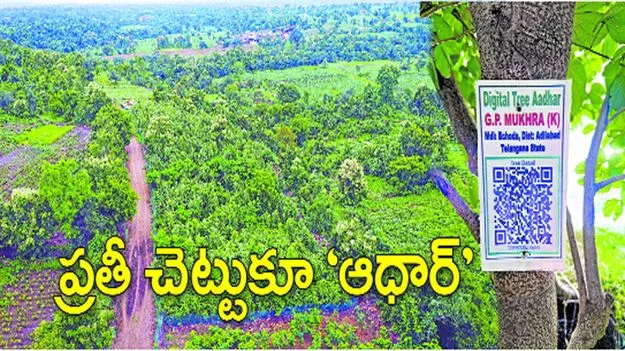 ఇక్కడ.. ప్రతి చెట్టుకూ ‘ఆధార్‌’..