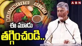 Chandrababu Vision 2047: ప్రతి ఇంటికీ ఫైనాన్స్ మినిస్టర్ మహిళలే
