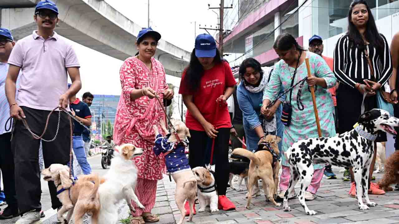 హైదరాబాద్‌లో జిగ్లీ వాకథాన్‌.. అబ్బురపరిచిన డాగ్స్ విన్యాసాలు