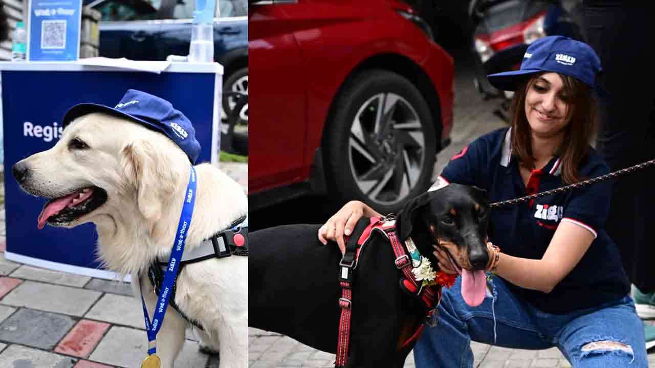 హైదరాబాద్‌లో జిగ్లీ వాకథాన్‌.. అబ్బురపరిచిన డాగ్స్ విన్యాసాలు