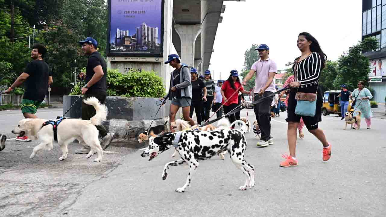 హైదరాబాద్‌లో జిగ్లీ వాకథాన్‌.. అబ్బురపరిచిన డాగ్స్ విన్యాసాలు