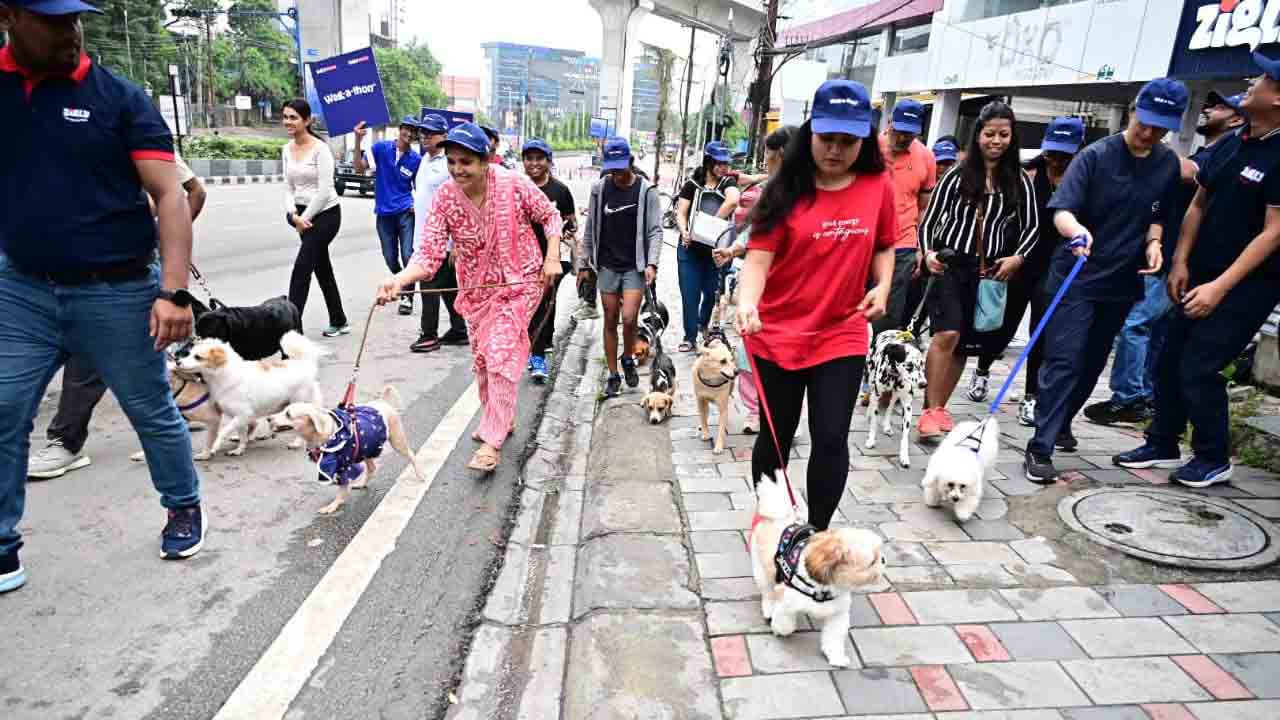 హైదరాబాద్‌లో జిగ్లీ వాకథాన్‌.. అబ్బురపరిచిన డాగ్స్ విన్యాసాలు