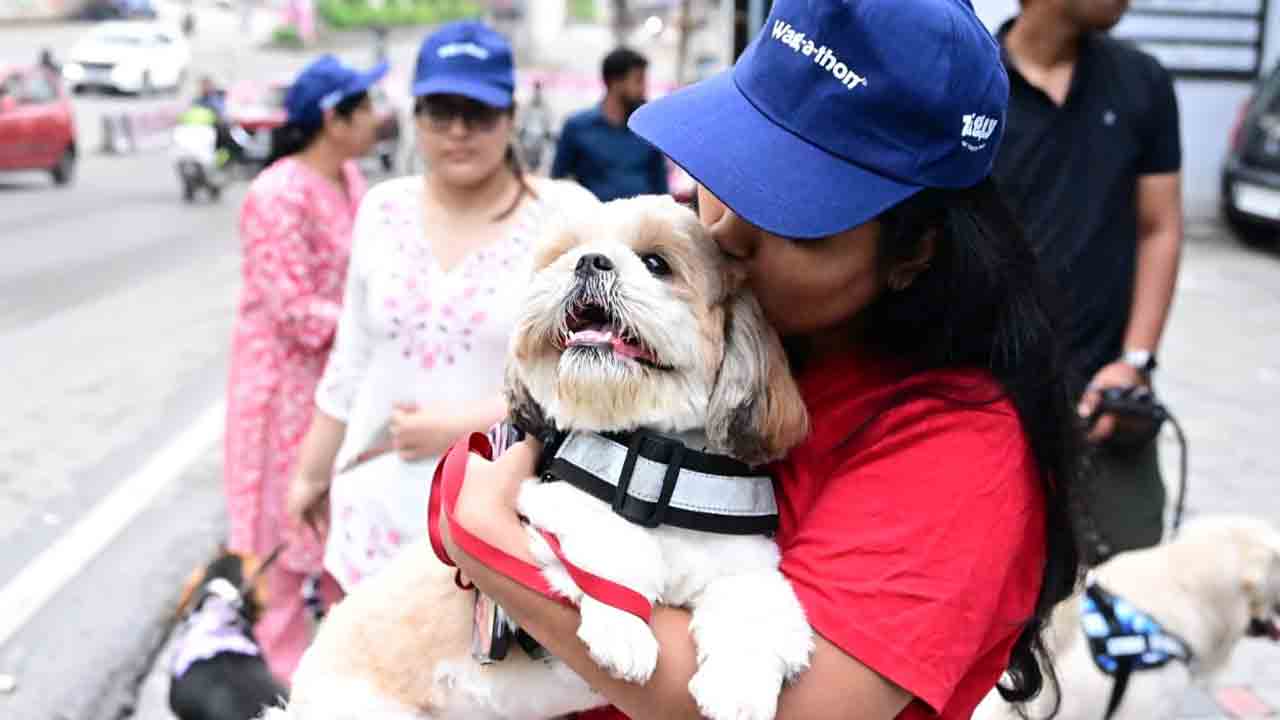 హైదరాబాద్‌లో జిగ్లీ వాకథాన్‌.. అబ్బురపరిచిన డాగ్స్ విన్యాసాలు