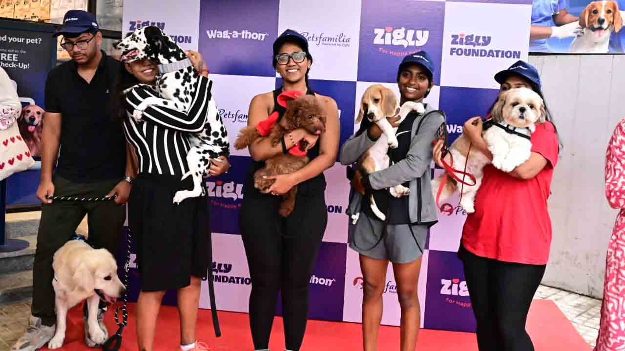 హైదరాబాద్‌లో జిగ్లీ వాకథాన్‌.. అబ్బురపరిచిన డాగ్స్ విన్యాసాలు