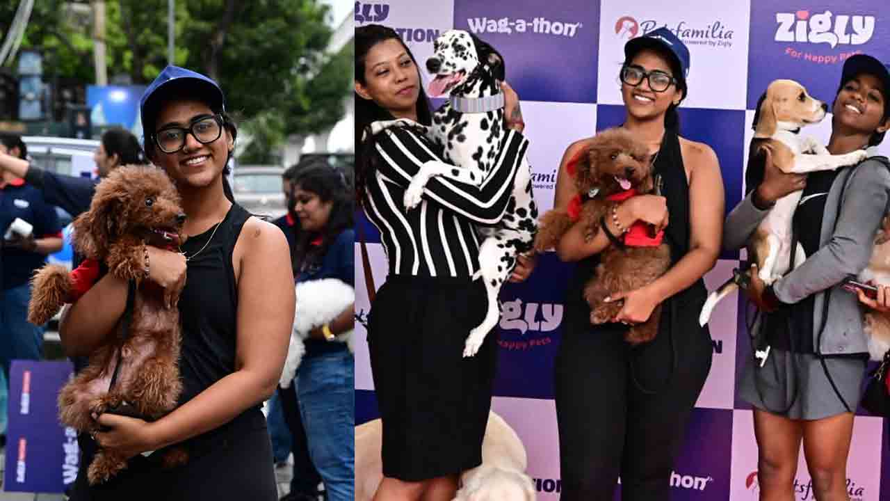 హైదరాబాద్‌లో జిగ్లీ వాకథాన్‌.. అబ్బురపరిచిన డాగ్స్ విన్యాసాలు