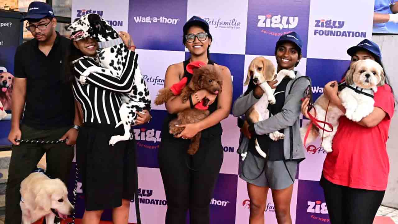 హైదరాబాద్‌లో జిగ్లీ వాకథాన్‌.. అబ్బురపరిచిన డాగ్స్ విన్యాసాలు