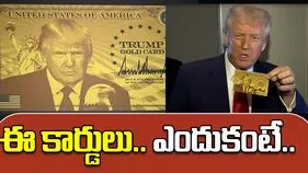 Trump H-1B visa cards: హెచ్‌1బీ ఉద్యోగులకు ట్రంప్ గోల్డ్, ప్లాటినం, కార్పొరేట్ గోల్డ్ కార్డులు.. ఏమిటివి?