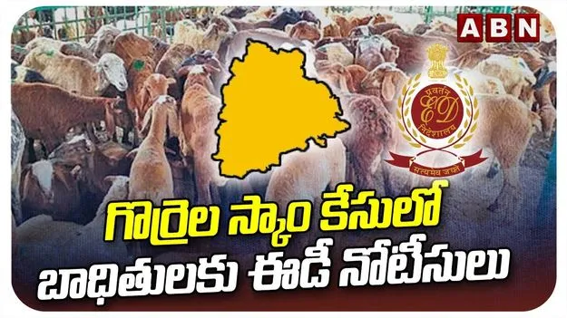 Sheep Scam Case: గొర్రెల స్కామ్‌లో ఈడీ నోటీసులు.. విచారణకు రాకుంటే..