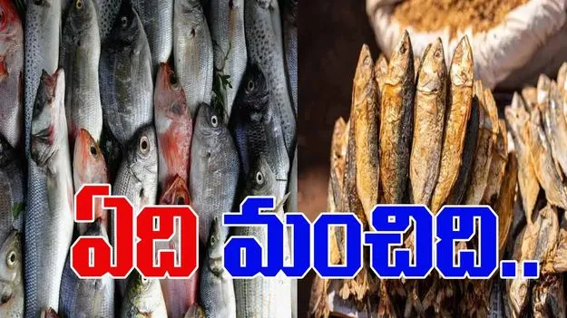 Fish Vs Dry Fish: చేప మంచిదా? ఎండు చేప మంచిదా?