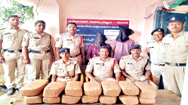marijuana smuggler: ఆర్థిక పరిస్థితి బాగాలేక.. గంజాయి స్మగ్లర్లుగా మారి..