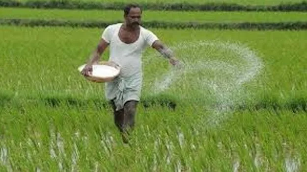 Indian Farmers: రైతునేస్తం అవార్డు  దరఖాస్తులకు ఆహ్వానం