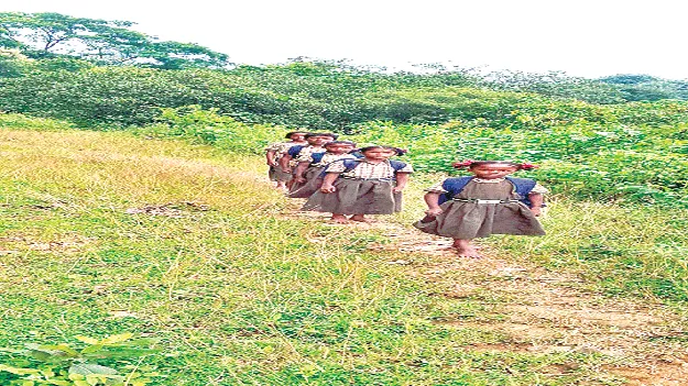 To Study చదువుకోవాలంటే  కొండ దిగాల్సిందే!