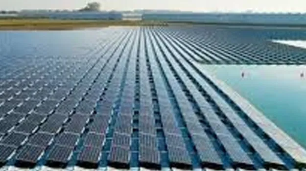 Worlds Largest FOS Plant: ఆరోగ్యానికి తీపి కబురు 